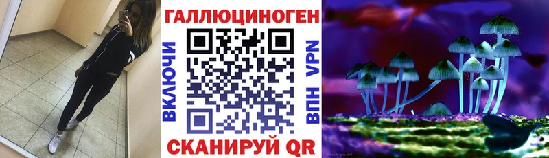 где найти   Билибино  Псилоцибиновые грибы мухоморы 